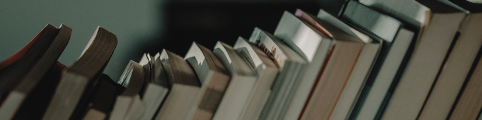 Books lined up on a shelf, representing learning and organizational development.